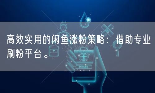 高效实用的闲鱼涨粉策略：借助专业刷粉平台