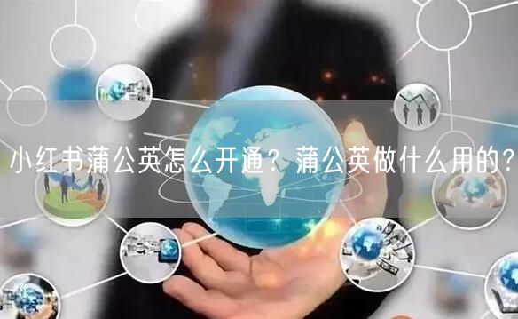 小红书蒲公英怎么开通？蒲公英做什么用的？