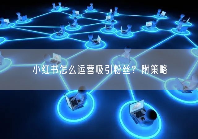 小红书怎么运营吸引粉丝？附策略