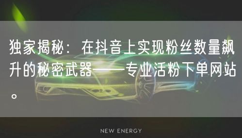 独家揭秘：在抖音上实现粉丝数量飙升的秘密武器——专业活粉下单网站。