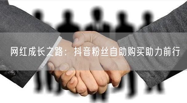 网红成长之路：抖音粉丝自助购买助力前行