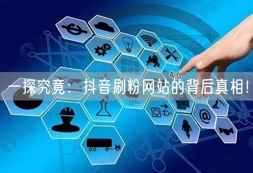 一探究竟：抖音刷粉网站的背后真相！
