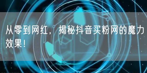 从零到网红，揭秘抖音买粉网的魔力效果！
