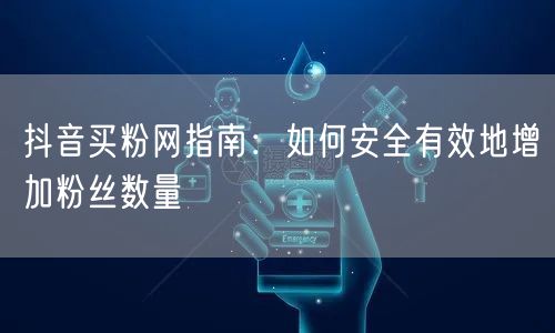 抖音买粉网指南：如何安全有效地增加粉丝数量