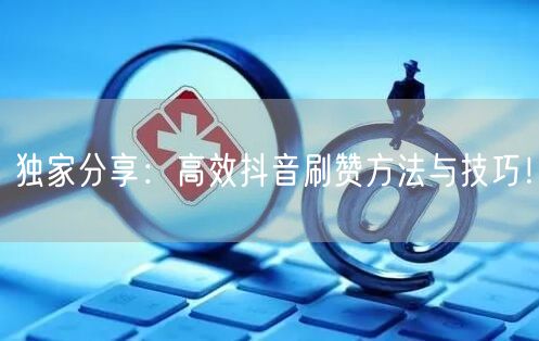 独家分享：高效抖音刷赞方法与技巧！