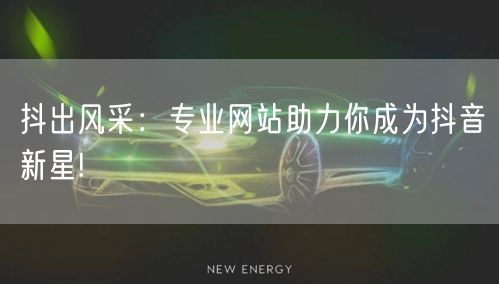 抖出风采:专业网站助力你成为抖音新星!