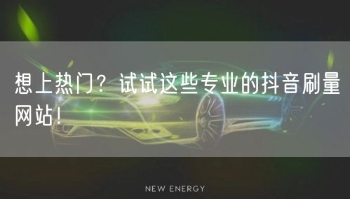 想上热门？试试这些专业的抖音刷量网站！