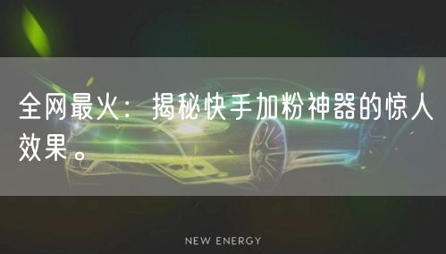 全网最火：揭秘快手加粉神器的惊人效果。