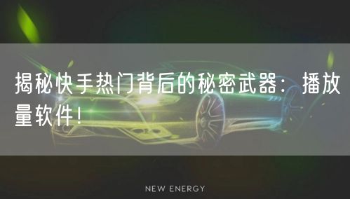 揭秘快手热门背后的秘密武器:播放量软件!