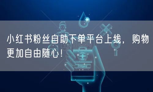 小红书粉丝自助下单平台上线，购物更加自由随心！