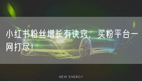 小红书粉丝增长有诀窍，买粉平台一网打尽！