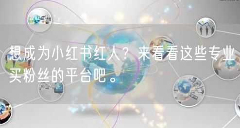 想成为小红书红人？来看看这些专业买粉丝的平台吧。