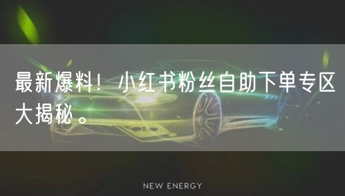 最新爆料!小红书粉丝自助下单专区大揭秘。