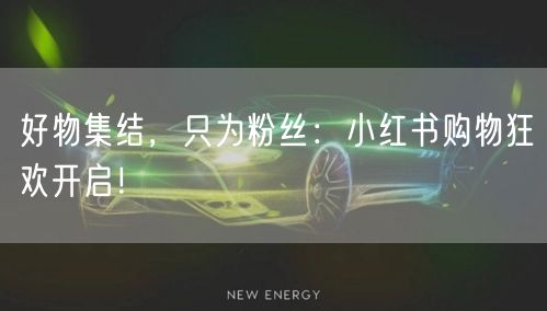 好物集结，只为粉丝：小红书购物狂欢开启！