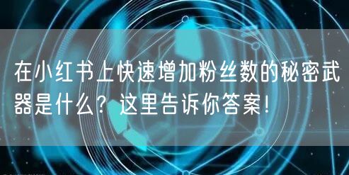在小红书上快速增加粉丝数的秘密武器是什么?这里告诉你答案!