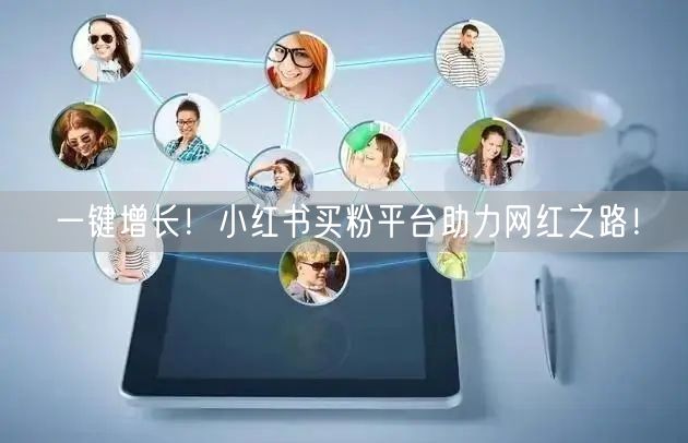 一键增长！小红书买粉平台助力网红之路！