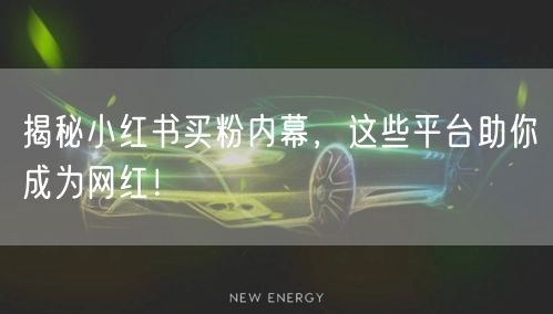 揭秘小红书买粉内幕，这些平台助你成为网红！