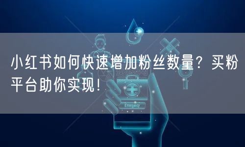 小红书如何快速增加粉丝数量？买粉平台助你实现！