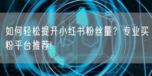 如何轻松提升小红书粉丝量？专业买粉平台推荐!