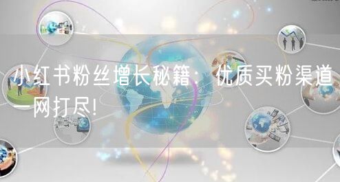 小红书粉丝增长秘籍：优质买粉渠道一网打尽!