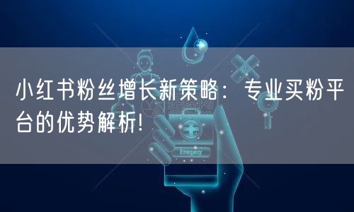 小红书粉丝增长新策略：专业买粉平台的优势解析!