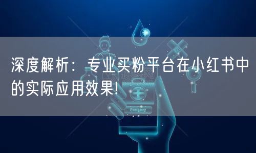 深度解析：专业买粉平台在小红书中的实际应用效果!