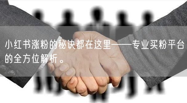 小红书涨粉的秘诀都在这里——专业买粉平台的全方位解析。