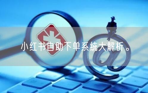 小红书自助下单系统大解析。