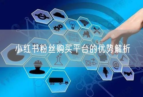 小红书粉丝购买平台的优势解析