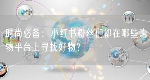 时尚必备:小红书粉丝们都在哪些购物平台上寻找好物?