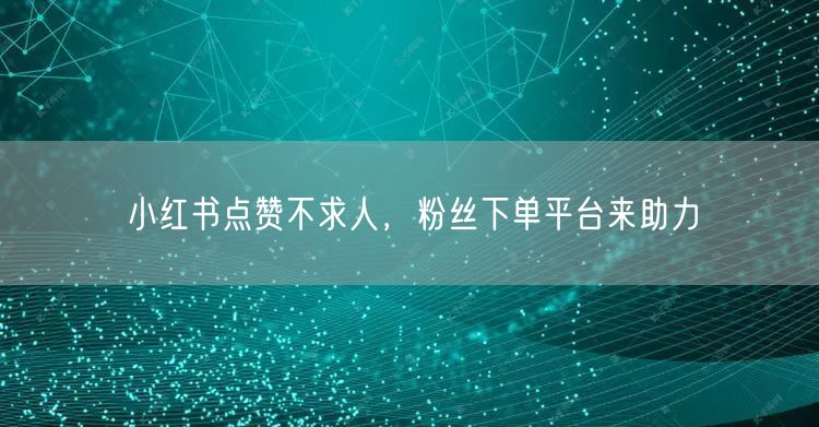 小红书点赞不求人，粉丝下单平台来助力