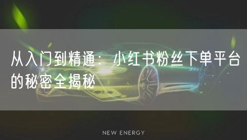从入门到精通：小红书粉丝下单平台的秘密全揭秘