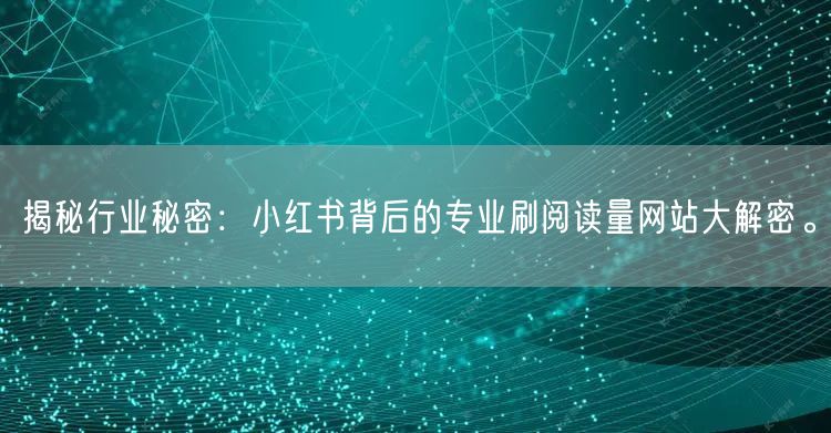 揭秘行业秘密：小红书背后的专业刷阅读量网站大解密。