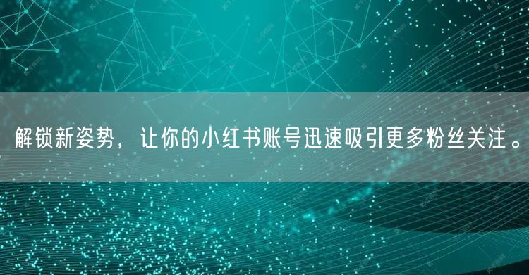 解锁新姿势，让你的小红书账号迅速吸引更多粉丝关注。