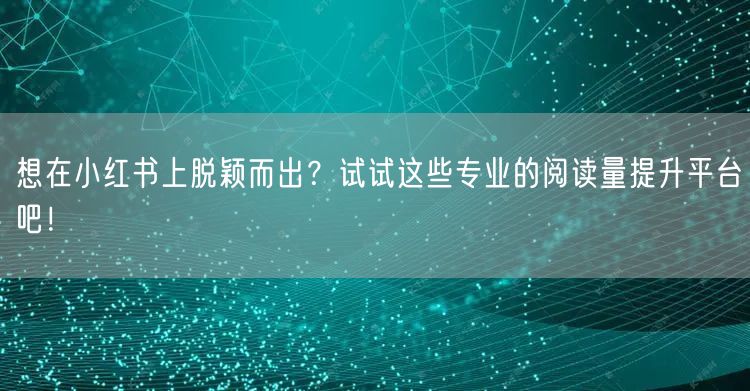 想在小红书上脱颖而出？试试这些专业的阅读
