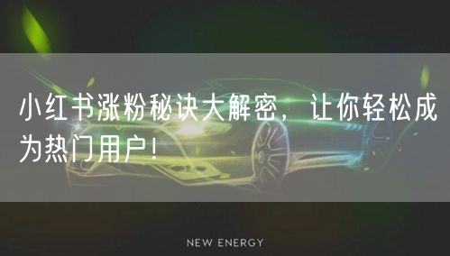 小红书涨粉秘诀大解密，让你轻松成为热门用户！