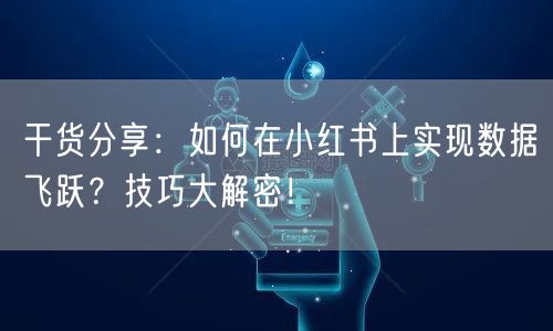 干货分享：如何在小红书上实现数据飞跃？技巧大解密！