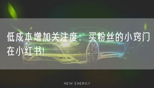 低成本增加关注度：买粉丝的小窍门在小红书