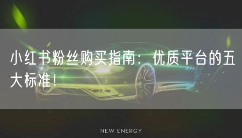 小红书粉丝购买指南：优质平台的五大标准！