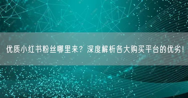 优质小红书粉丝哪里来？深度解析各大购买平台的优劣！