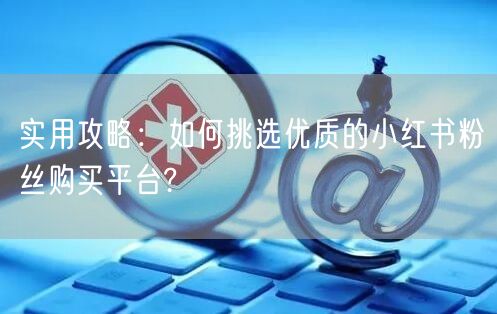 实用攻略：如何挑选优质的小红书粉丝购买平台?