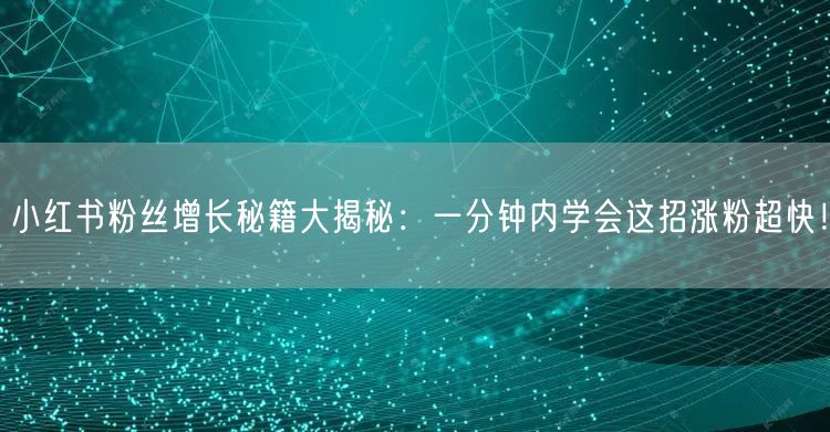 小红书粉丝增长秘籍大揭秘：一分钟内学会这