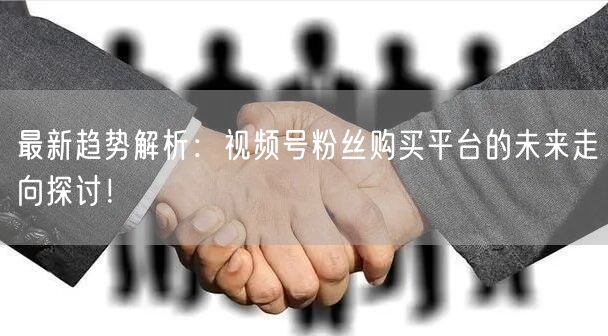 最新趋势解析：视频号粉丝购买平台的未来走向探讨！