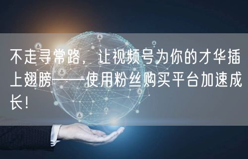 不走寻常路,让视频号为你的才华插上翅膀——使用粉丝购买平台加