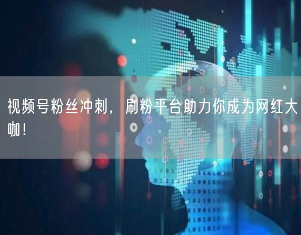 视频号粉丝冲刺，刷粉平台助力你成为网红大咖！