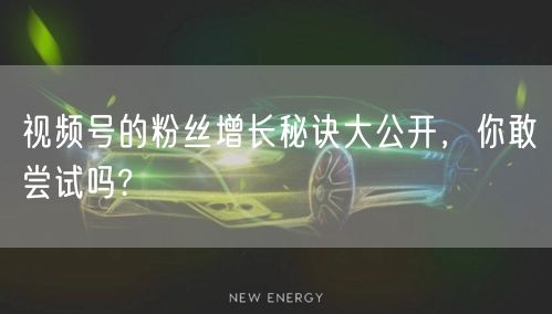 视频号的粉丝增长秘诀大公开,你敢尝试吗?