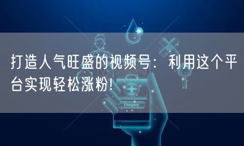 打造人气旺盛的视频号：利用这个平台实现轻松涨粉!