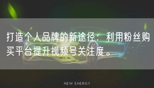 打造个人品牌的新途径：利用粉丝购买平台提升视频号关注度。