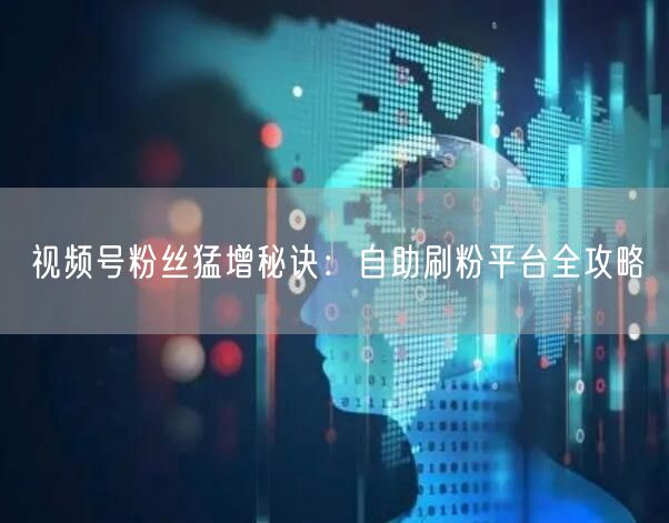 视频号粉丝猛增秘诀:自助刷粉平台全攻略