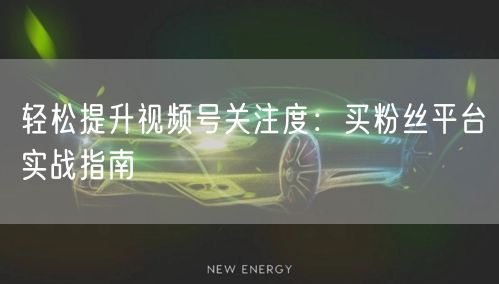 轻松提升视频号关注度：买粉丝平台实战指南